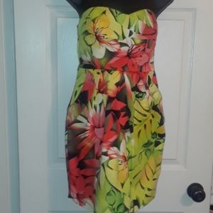 Tropical Dress